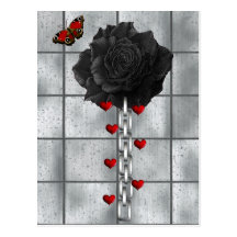 Rosa do preto do amor cartoes postais