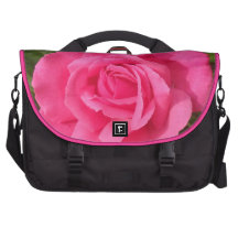 Rosa doce do rosa