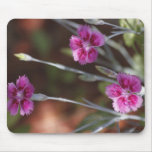 Rosa Mousepad