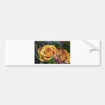 rosas alaranjados bonitos adesivos