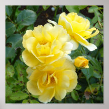 Rosas de creme da manteiga poster