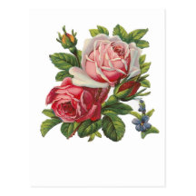 ROSAS DO VINTAGE CARTÃO POSTAL