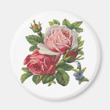 ROSAS DO VINTAGE IMA