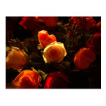 Rosas eu - Alaranjado, vermelho e glória do ouro Cartões Postais