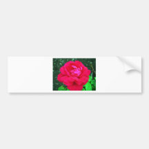 Rose#2 Adesivos