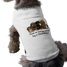 Roupa do animal de estimação do grupo do Dachshund Roupas Para Pets