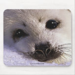 S.O.S. SALVAR NOSSOS animais selvagens Mousepad do