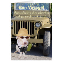 Safari engraçado da foto do bon voyage do cão cartao