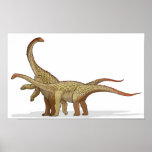 Saltasaurus - carteira cretácea do dinossauro posteres