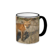 "Salvar caneca da raposa do nosso planeta"