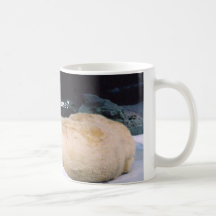 Salvar nossa caneca do urso polar de Planet.series