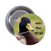 Salvar o botão dos patos boton