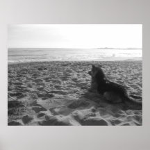 Santa Cruz K-9 Posters