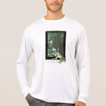 sapo camiseta