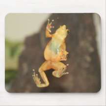 Sapo de árvore bonito Mouspad Mouse Pads