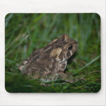 Sapo Mouse Pads