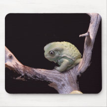 Sapo Waxy Mousepad do macaco
