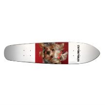 sasha minha vida, crazyaboutyorkies skate