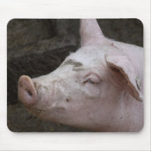 Schweineportrait Mouse Pad