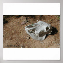 SCULL 1 IMPRESSÃO