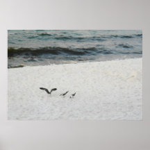 SEAGROVE POSTERS
