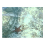 SEASTAR CARTAO POSTAL