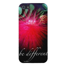 Seja cobrir esclarecido do iphone 5 diferentes capa iPhone 5