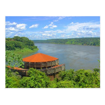 Selva em Brasil Cartoes Postais