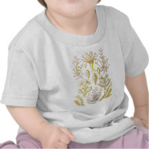 Sertulariae Tshirt