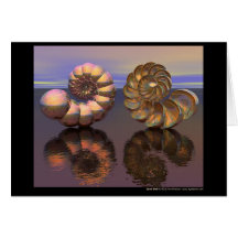 Shell espiral cartao
