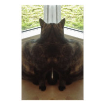 Siamese Papeis Personalizados