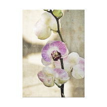 Simplesmente canvas da orquídea impressão em canvas