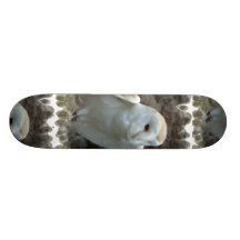 Skate branco da coruja de celeiro