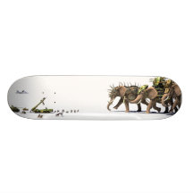 Skate da assimetria