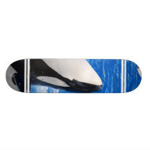 Skate da baleia de assassino