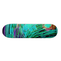 skate da cor