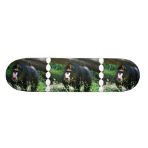 Skate de Mandrill
