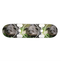 Skate do Bearcat