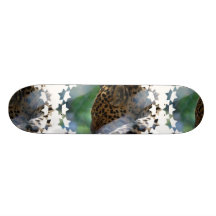 Skate do leopardo do sono