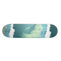 Skate do peixe-boi da natação