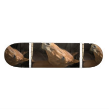 Skate do perfil do cavalo da castanha