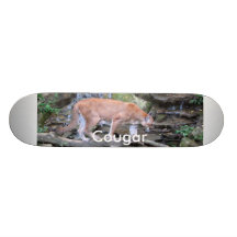 Skate do puma