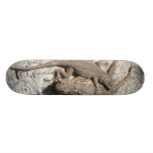 Skate dos lagartos