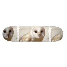 Skate nevado da coruja de celeiro