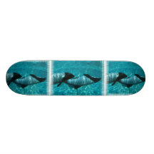 Skate subaquático das baleias