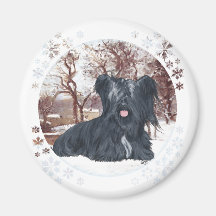 Skye Terrier no inverno Imas
