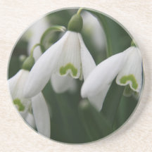 Snowdrops Porta-copos