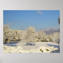 snowscape de Virgínia Posters
