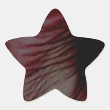 SOLAS ADESIVOS ESTRELAS