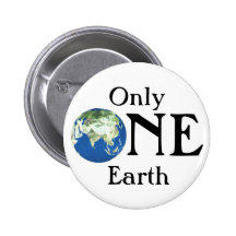 Somente uma terra pins